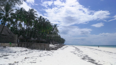 Dom Sprzedaż Zanzibar, Tanzania Pongwe - Palm Village