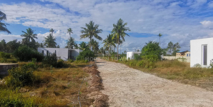 Dom Sprzedaż Zanzibar, Tanzania Pongwe - Palm Village 3