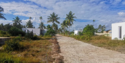 Dom Sprzedaż Zanzibar, Tanzania Pongwe - Palm Village