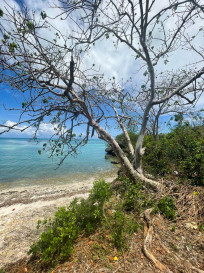 Dom Sprzedaż Zanzibar, Tanzania Pongwe - Ndudu