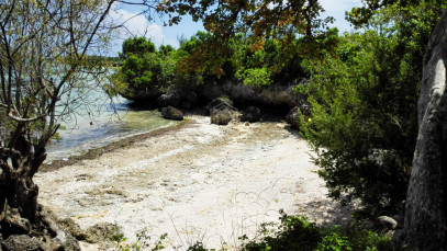 Dom Sprzedaż Zanzibar, Tanzania Pongwe - Ndudu