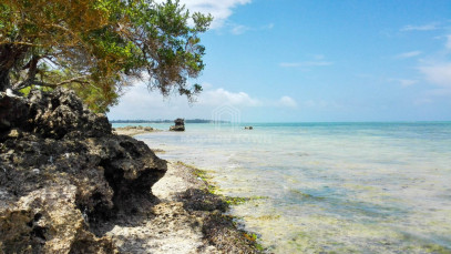 Dom Sprzedaż Zanzibar, Tanzania Pongwe - Ndudu