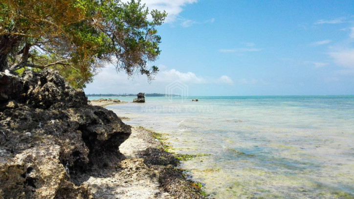 Dom Sprzedaż Zanzibar, Tanzania Pongwe - Ndudu 14